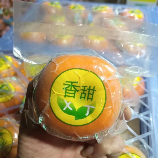 恭城县恭城脆柿，真空独立包装。