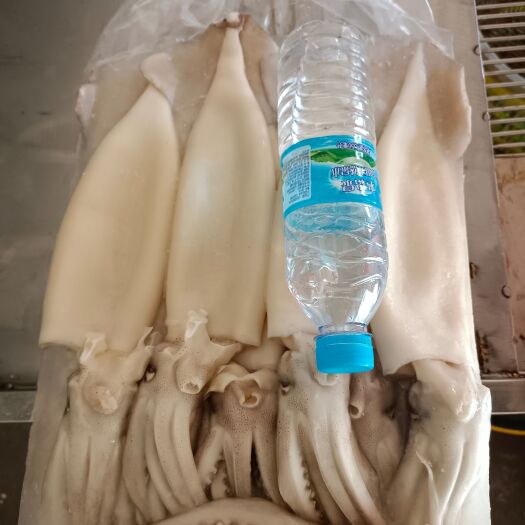 北海三去剥皮阿根鱿鱼，适合串烧,烹炒,麻辣烫,火锅,烧烤，