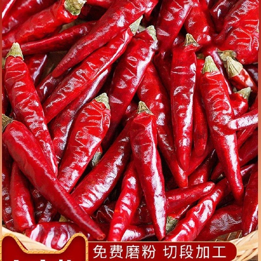 涉县朝天椒干辣椒  四川小米干辣椒七星椒朝天椒小米辣椒干货5斤起