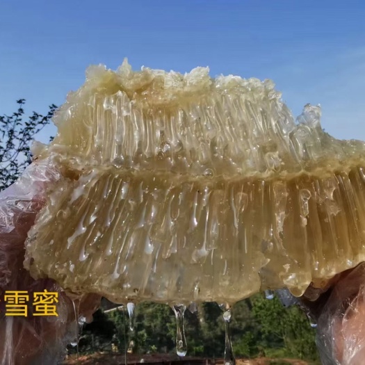 景谷县百花蜜
