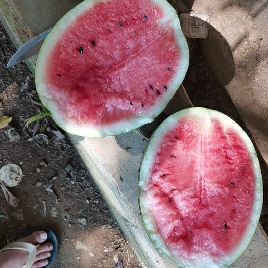 扶绥县麒麟西瓜