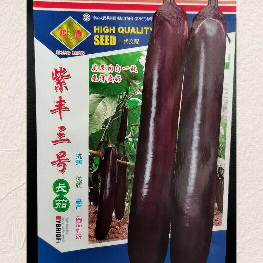 茄子种子 紫丰三号长茄优质长茄产量优头尾均匀一致