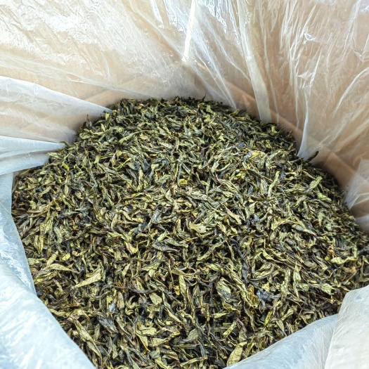 惠来县高山茶惠来土山茶潮汕高山茶清香型福建乌龙茶黄旦茶散装茶叶1斤