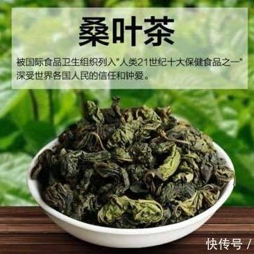 桑叶  正品无硫干货   一公斤起包邮