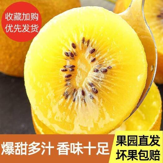 【一件代发 】河南金桃猕猴桃黄心奇异果/产地源头发货/非红心