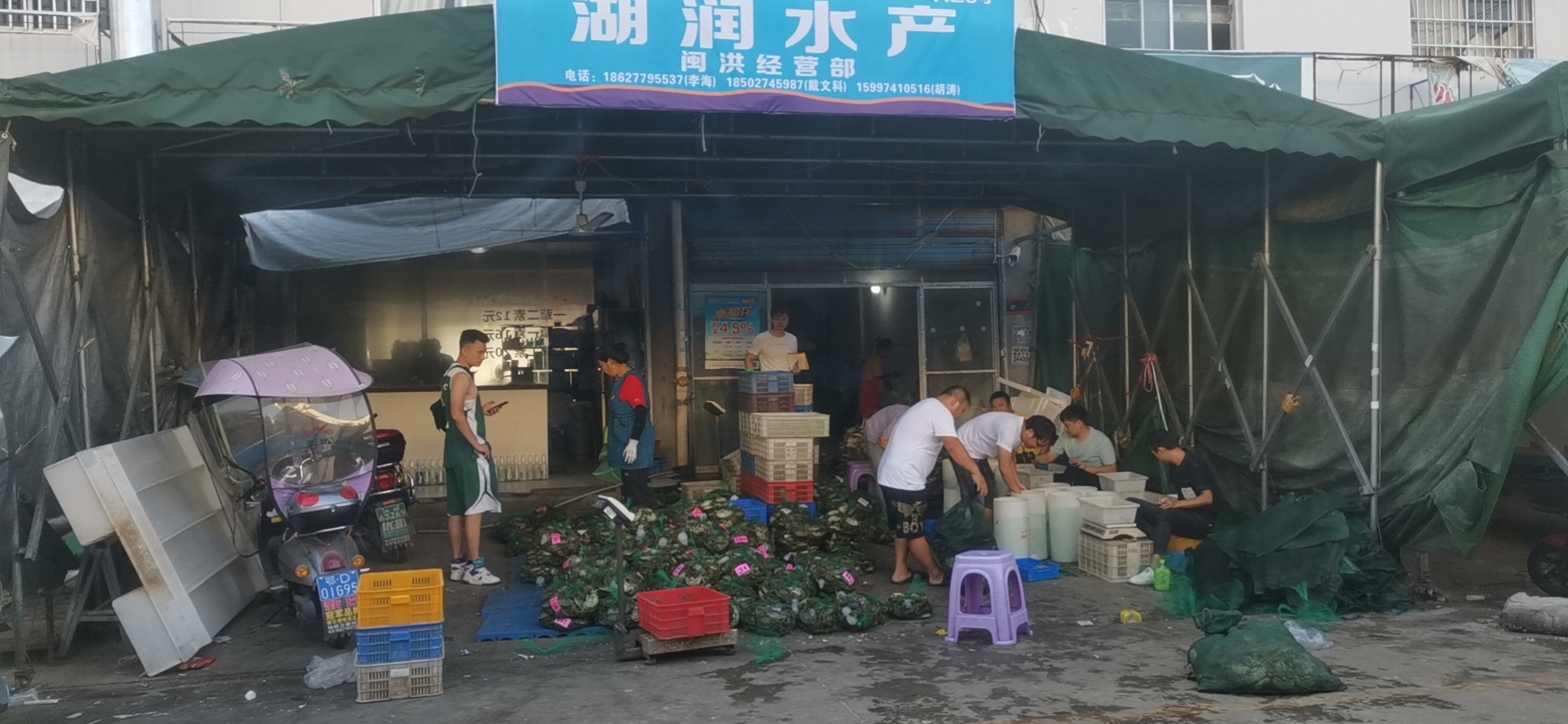 湖有鮮小龍蝦大閘蟹產(chǎn)地批發(fā)