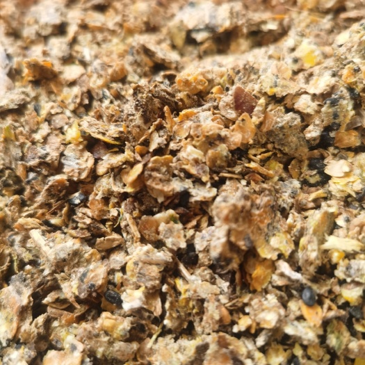 昌黎县熟化豆饼