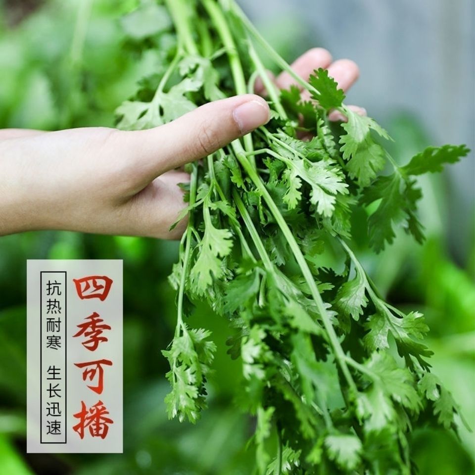 一年四季種業(yè)