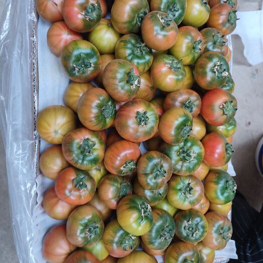 盘锦澜鑫牌碱地柿子