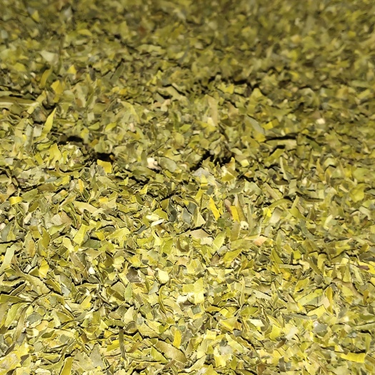 金花茶叶