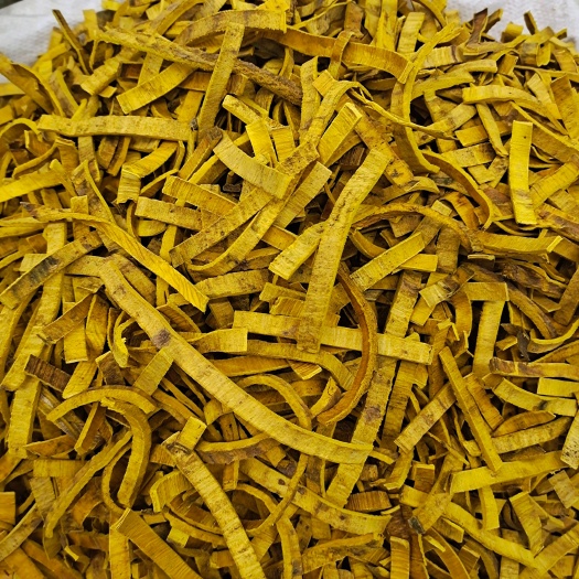 亳州黄柏 黄柏树皮 带皮黄柏去皮黄柏 地道中药材黄柏