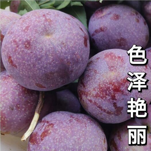 信宜市三华李