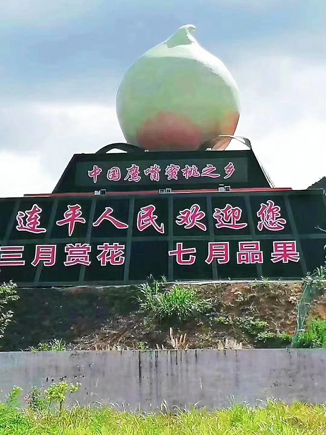 連平上坪鷹嘴蜜桃