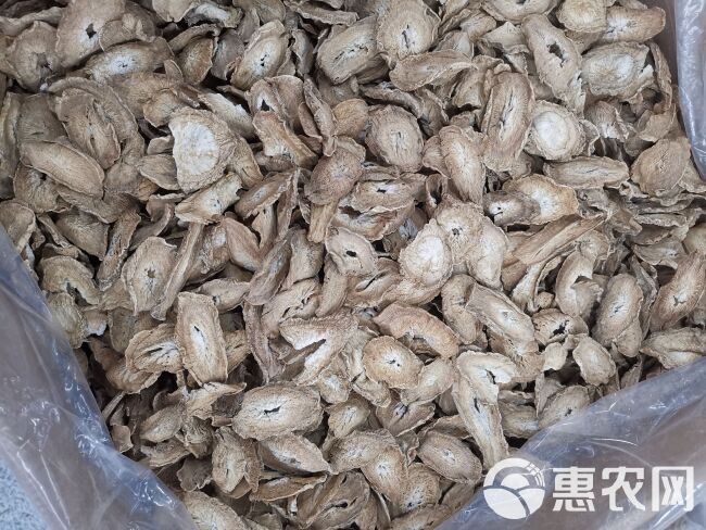 牛蒡茶 精选全干无硫黄金牛蒡茶 规格齐全产地直销可供大货