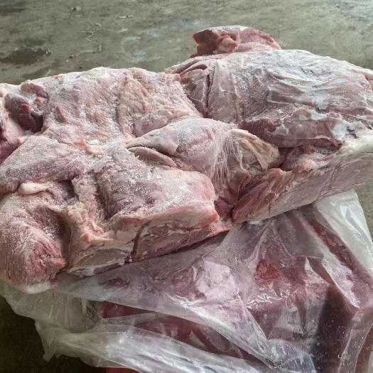 母猪二四号肉