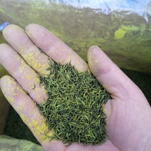 康县针型杜仲雄花