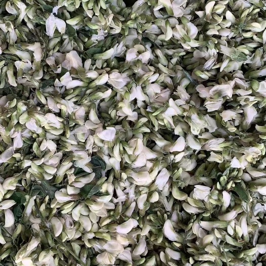 沧县新鲜冻槐花洋槐花杨花骨朵速冻槐花