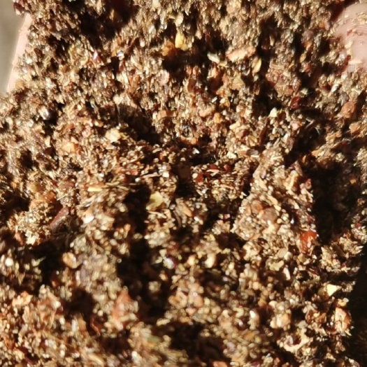 海兴县枣粉适口性好，能量高，糖分高，增加采食量