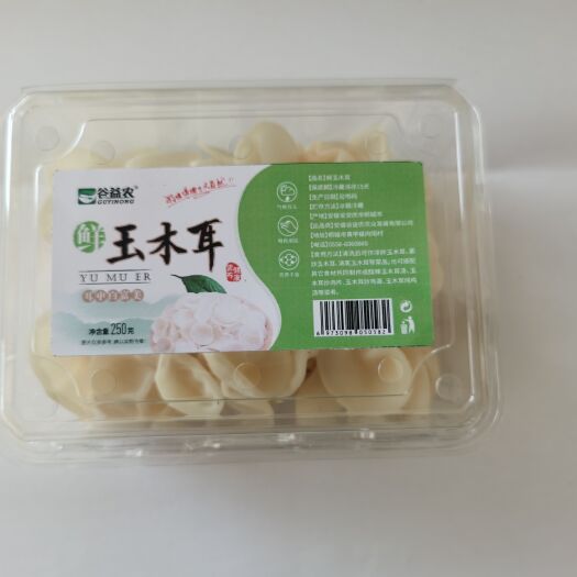桐城市白玉木耳