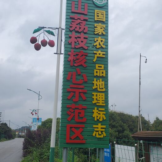 灵山县百年荔枝
