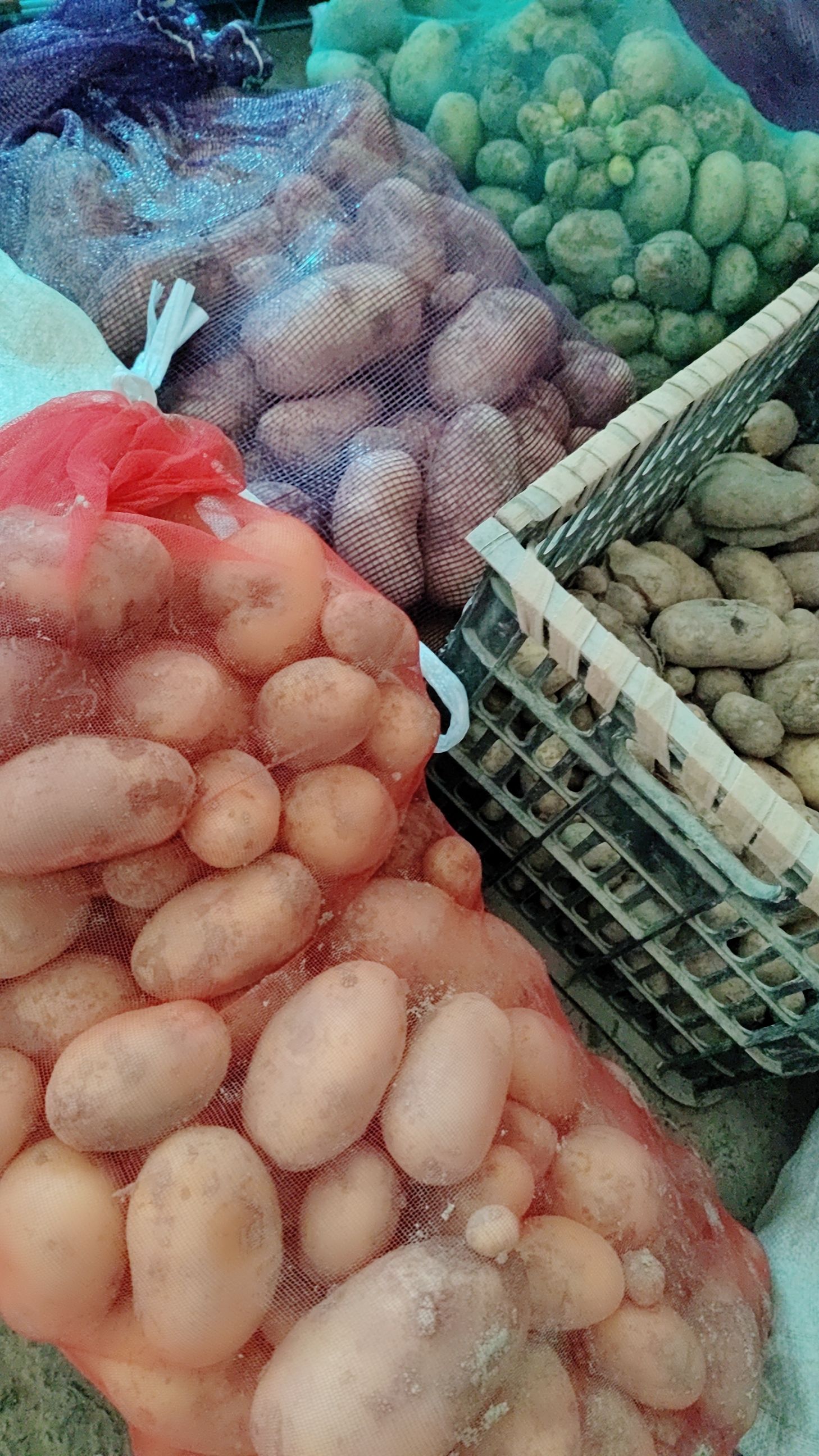 黄心土豆量大从优