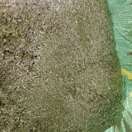 宣威市绿肥糠（苕子糠）干的
