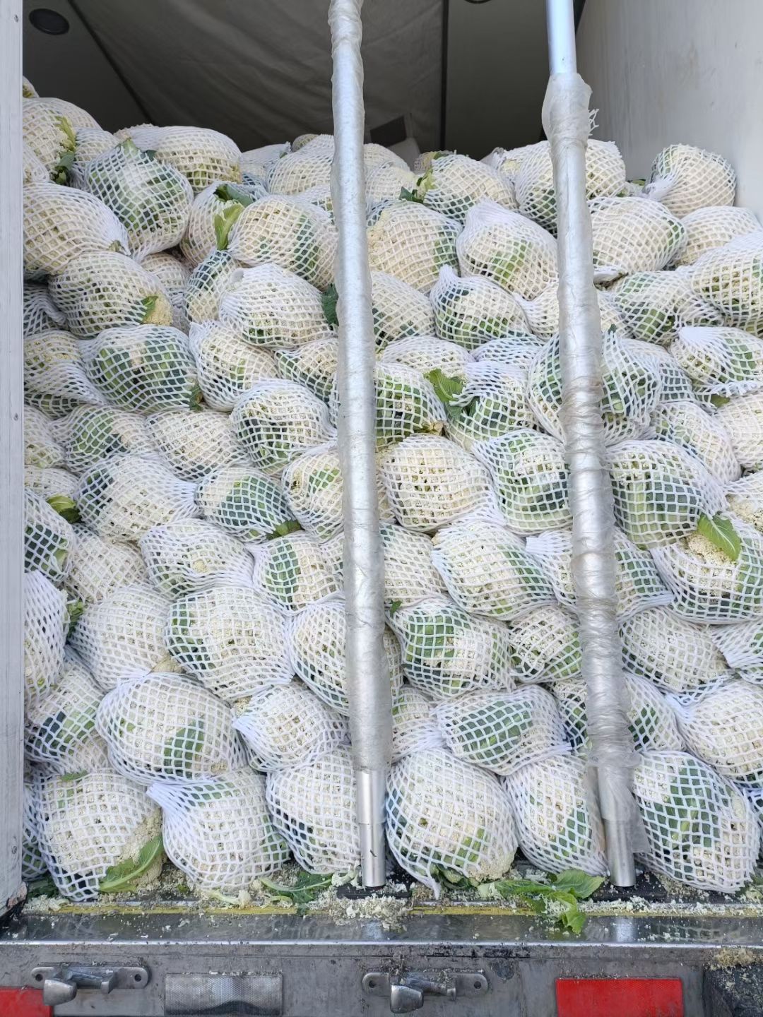 白花菜花 白面青梗松花菜~散花很白很超标都是建瓯高山好货！！