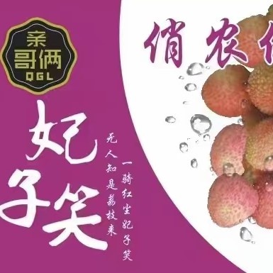 高碑店市海南妃子笑荔枝