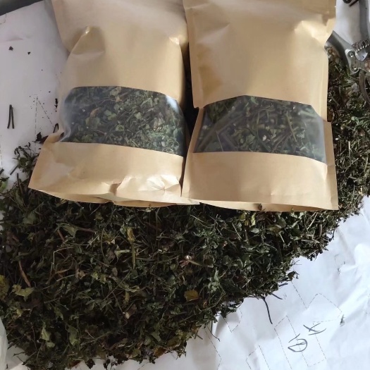 融水县鬼针草，别名有叫鬼钗草、鬼黄花、山东老鸦草、婆婆针、鬼骨针