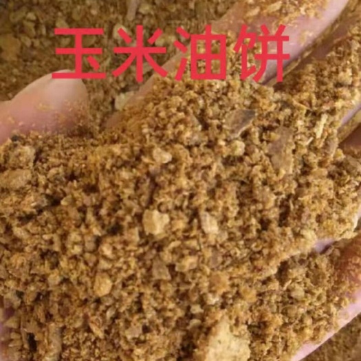 赵县玉米油饼蛋白16，脂肪12牛羊育肥好帮手