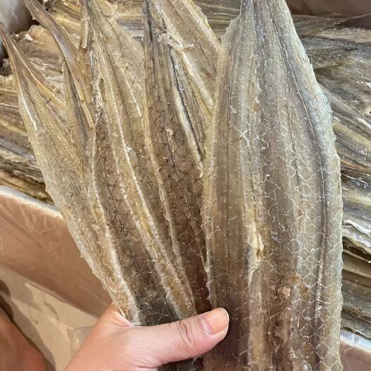 北海白鳝鱼干