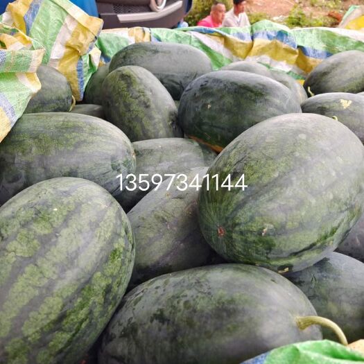 扶绥县广西黑美人西瓜，甜王