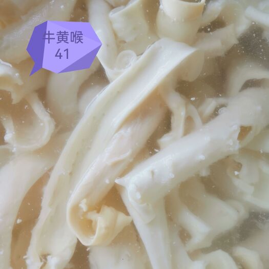 牛黄喉