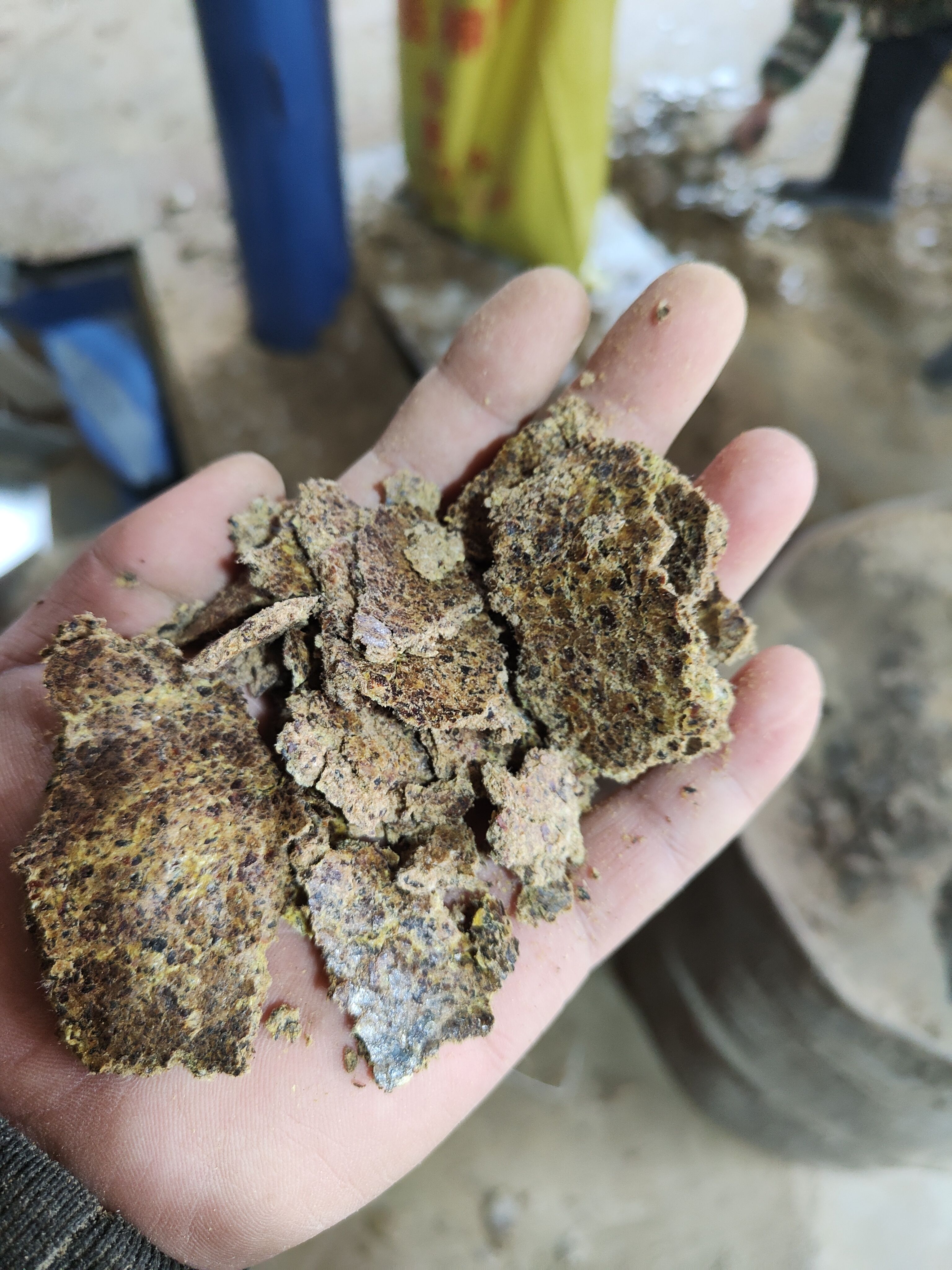 新疆饲料都有哪些(新疆饲料加工企业排名)