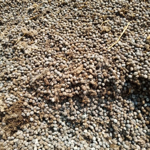 于都县羊粪，纯羊粪，干羊粪，羊粪有机肥，发酵羊粪，纯羊粪有机肥