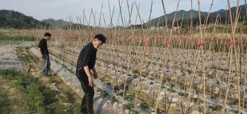 耕碩大地農(nóng)業(yè)科技有限公司