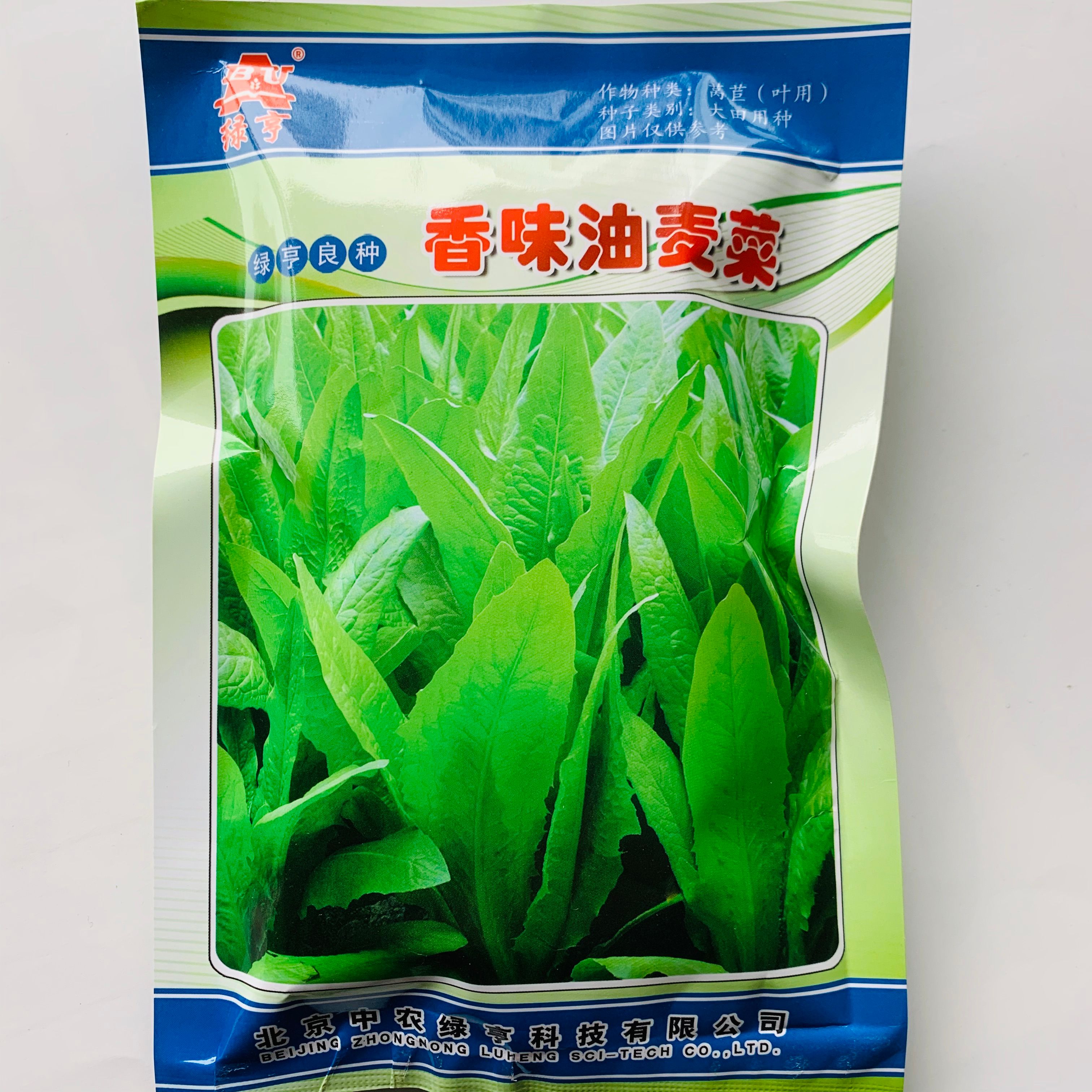 绿亨香味油麦菜种孑纯度产量高直立性好四季蔬菜种子口感脆嫩种籽
