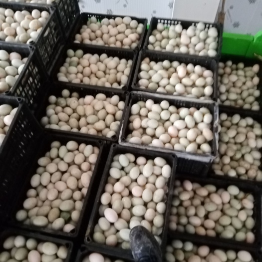 永修县裂纹红心土鸭蛋