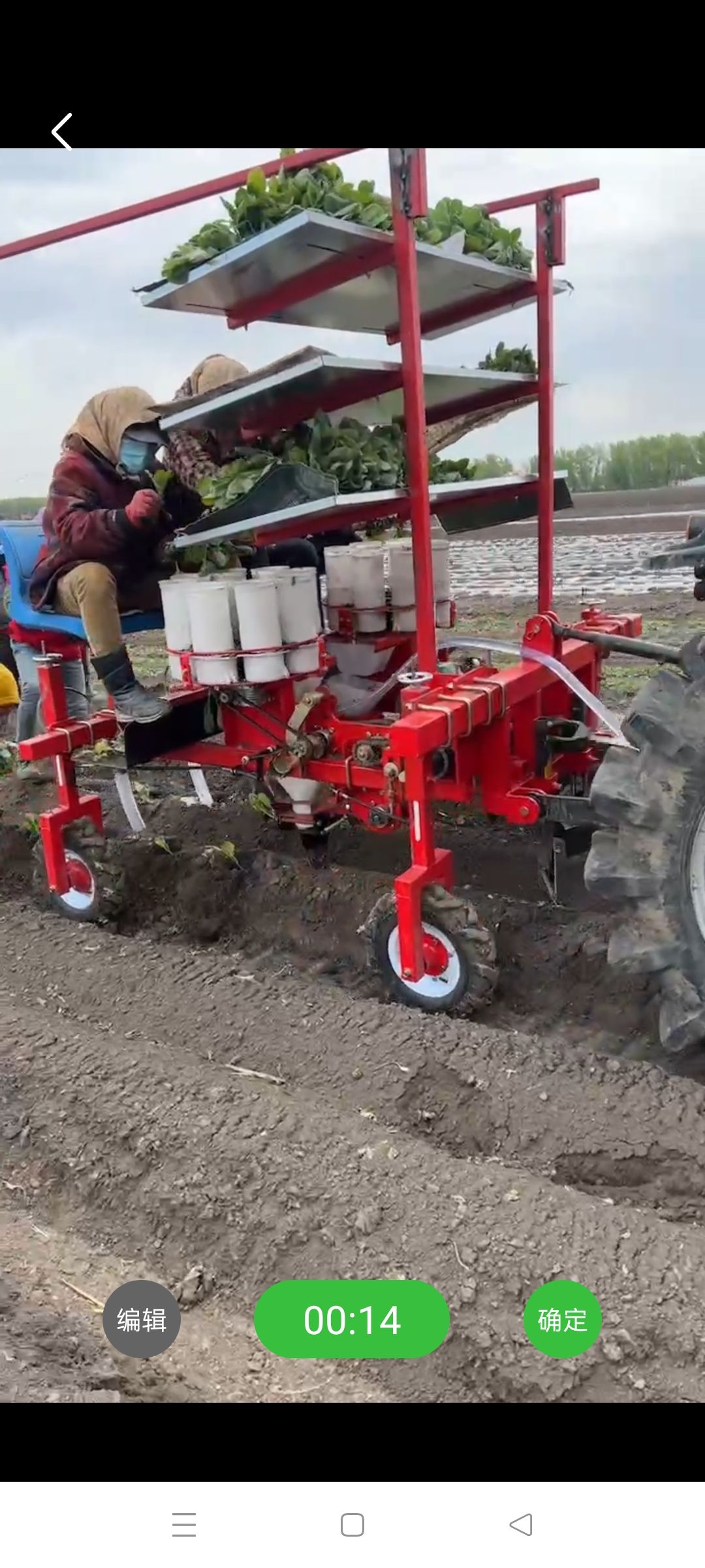 白菜移栽机，甘蓝移栽机