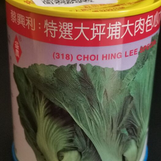 南宁芥菜种子 香港益农牌包心芥