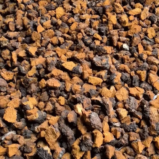 峨边县桦树茸干货有几万斤需要联系我