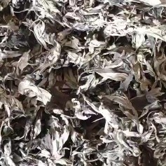 李时珍故乡中国艾都湖北蕲春百草道地中药材种植专业合作社一蕲艾