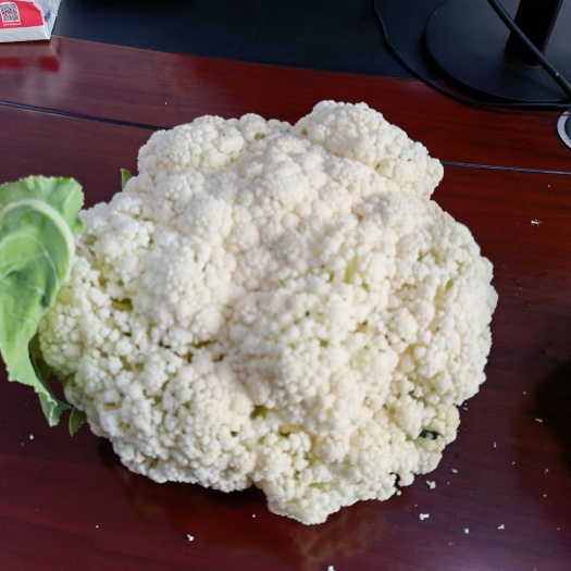 兴义市松花菜