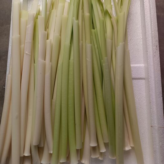 夏邑县现采现剥野生蒲菜