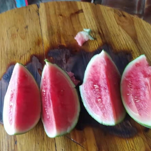早春红玉大棚小西瓜，薄皮红心超级甜