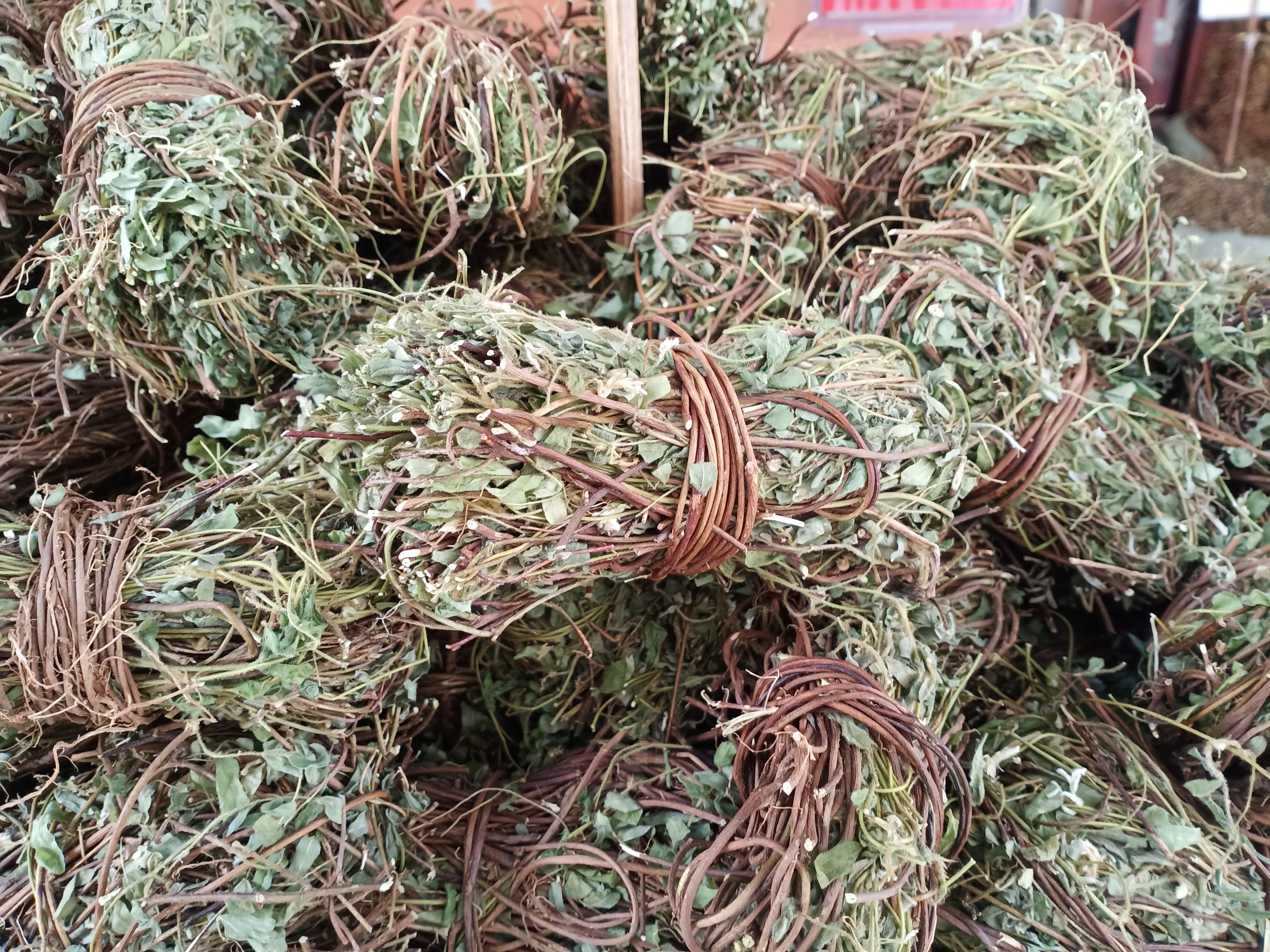 有叶鸡骨草现货质量保证欢迎联系采购量大从优