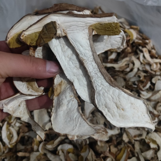 冕宁县美味牛肝菌干片