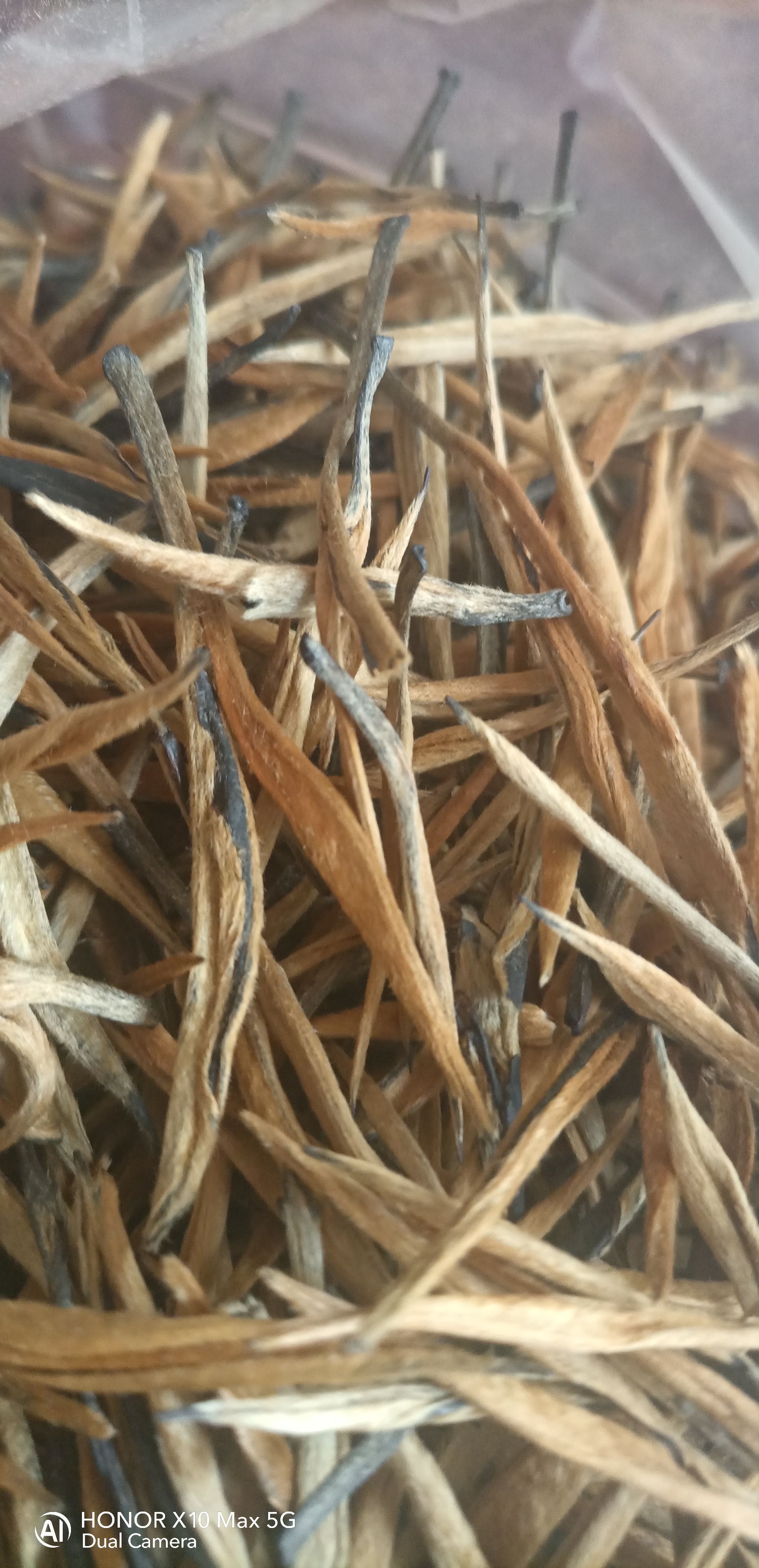 景谷单芽红茶金针