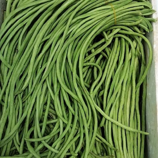 廉江市青豆角，ab货，统货