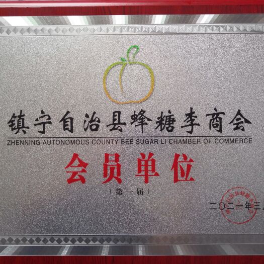 镇宁县贵州省镇宁县源产地蜂糖李